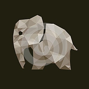 The Elephant Polygon infographic,polygon elehpant.