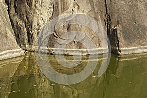 Elephant pond carving in Isurumuniya rock temple in Anuradhapura, Sri Lanka.