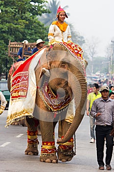 Elephant procession for Lao New Year 2014 in Luang Prabang, Laos