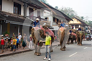 Elephant procession for Lao New Year 2014 in Luang Prabang, Laos