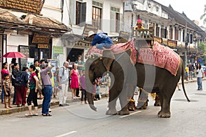 Elephant procession for Lao New Year 2014 in Luang Prabang, Laos