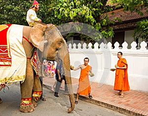 Elephant procession for Lao New Year 2014 in Luang Prabang, Laos