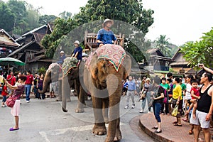 Elephant procession for Lao New Year 2014 in Luang Prabang, Laos
