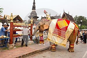 Elephant procession for Lao New Year 2014 in Luang Prabang, Laos