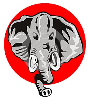 Elephant on red background