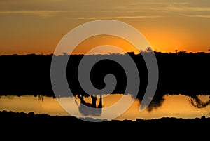 Elephant reflection at sunset
