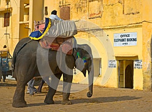 Elephant ride, Amber Fort, Jaipur, India