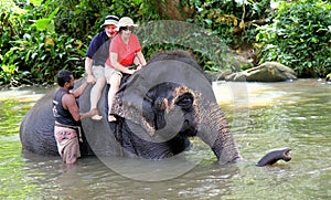 Elephant ride