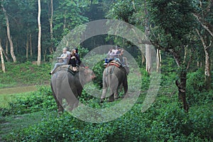 Elephant Ride In Nepal .