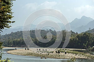 An elephant ride over the river