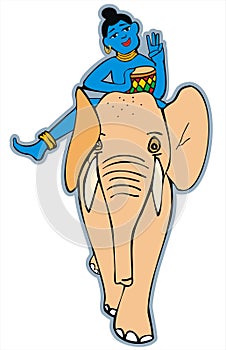 Elephant riding. India.