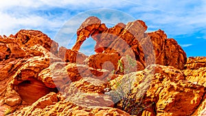 Elephant Rock formations in the Valley of Fire State Park in Nevada, USA