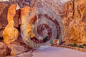 The elephant rock the hidden city of Petra