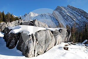 Elephant rock piles