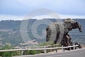 Elephant rock in Sardinia, Italy