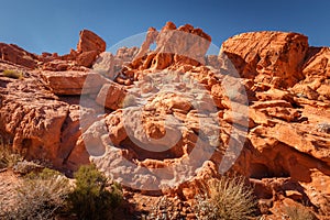 Elephant Rock during sunny day with blue sky, Valley of Fire State Park, Nevada