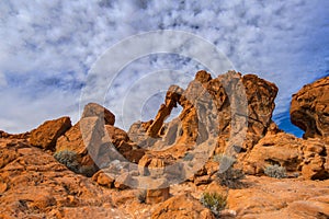 Elephant rock upclose