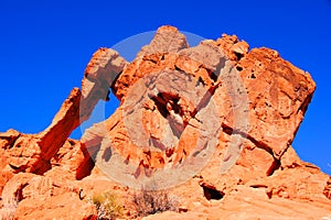 Elephant Rock, Valley of Fire