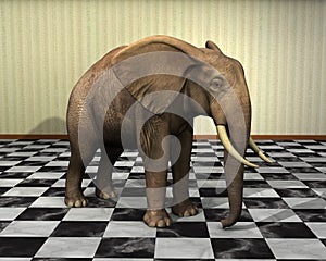Elephant, Room, Checkered Floor Illustration