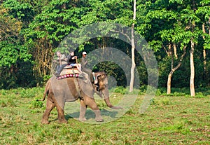 Elephant Safari in Chitwan , Nepal