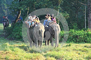 Elephant Safari in Chitwan.
