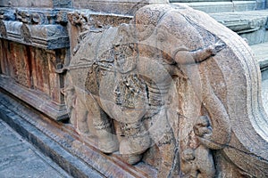 Elephant sculpture carved in the stone walls of ancient Brihadeeswarar temple in Thanjavur, Tamilnadu.