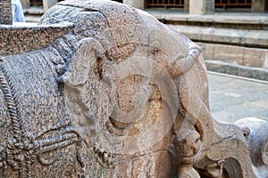 Elephant sculpture carved in the stone walls of ancient Brihadeeswarar temple in Thanjavur, Tamilnadu.