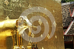 Elephant Sculpture of Golden Pagoda of Ancient Wat Phra Singh Temple in Chaing Mai, Thailand