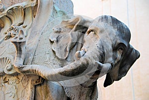Elephant sculpture in Rome