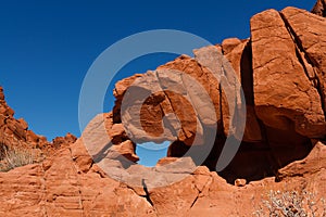 Elephant Seal Rock in Valley of Fire State Park