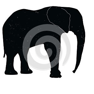 elephant shadow animal icon silhouettes isolated on dark black graphical in white