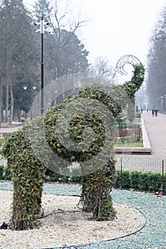 Elephant-shaped bush