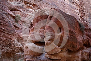 Elephant shaped rock in world wonder Petra, Jordan