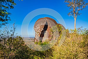 Elephant shaped stone of Phu Sing mountain