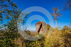 Elephant shaped stone of Phu Sing mountain