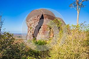 Elephant shaped stone of Phu Sing mountain