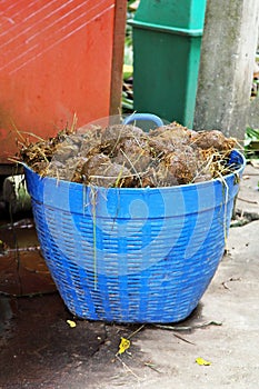 Elephant shit. Elephant feces are stacked in a blue basket