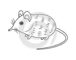 Elephant Shrew Vector Colorless