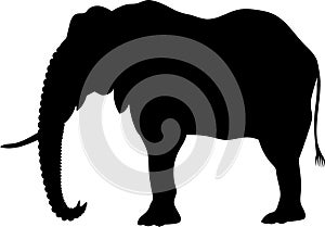 elephant side vector silhouette black