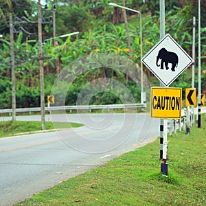 Elephant sign