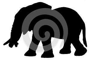 Elephant Silhouette