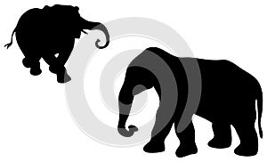 Elephant Silhouette