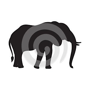 elephant silhouette. Vector illustration decorative design
