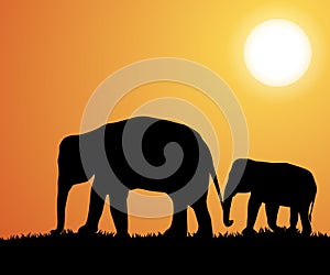 Elephant silhouettes in Africa