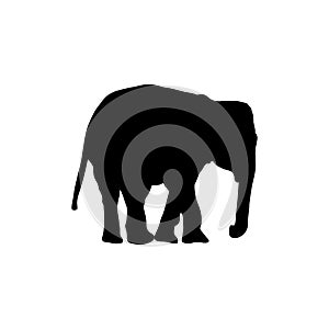 Elephant silhouettes black color on white background. Vector illustration.