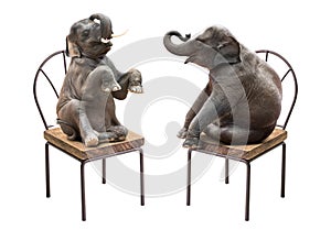 Elephant sitting on chair