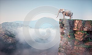 Elephant sitting on edge of a cliff and admiring the landscape