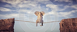 Elephant sitting on slackline rope above a gap between two mountain peaks
