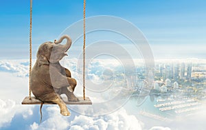 Elephant sitting on a swing above a city. Concept of freedom and happiness