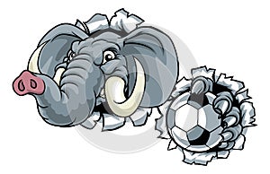 Elephant Soccer Football Ball Sports Mascot